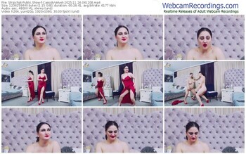 stripchat-cassidyvelvet-11-24-2025-04-12-08