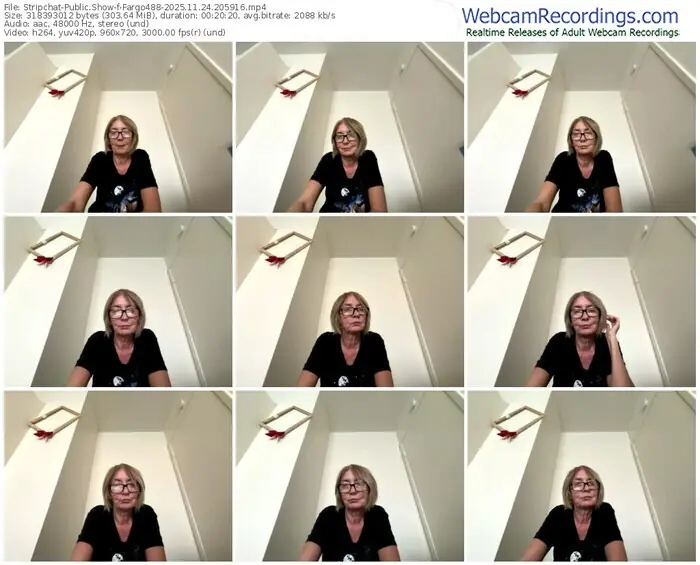 stripchat-fargo488-11-24-2025-20-59-16