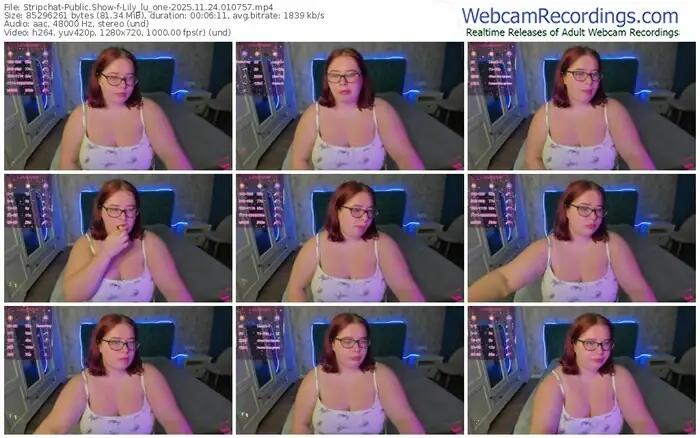 stripchat-lily_lu_one-11-24-2025-01-07-57