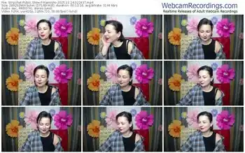 stripchat-mariesho-11-24-2025-02-24-37