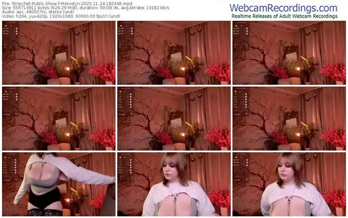 stripchat-morvelyn-11-24-2025-18-24-48