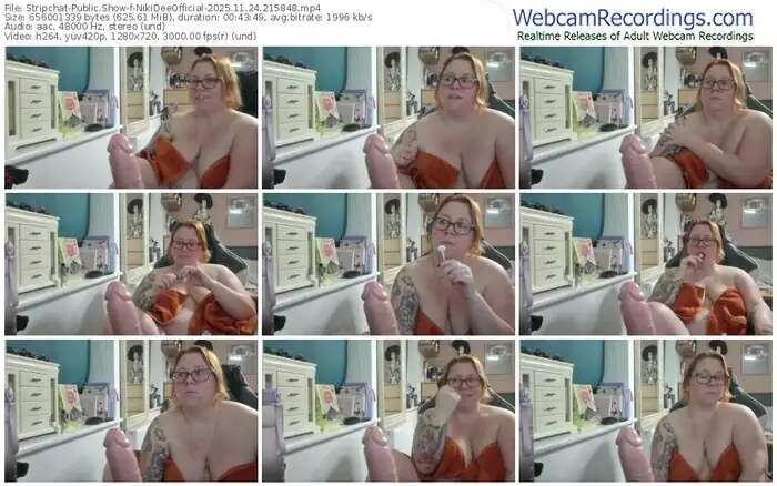 stripchat-nikideeofficial-11-24-2025-21-58-48