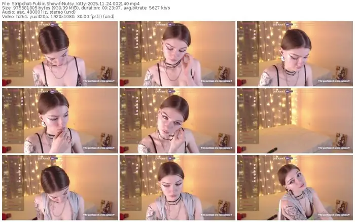 stripchat-nutsy_kitty-11-24-2025-00-21-40