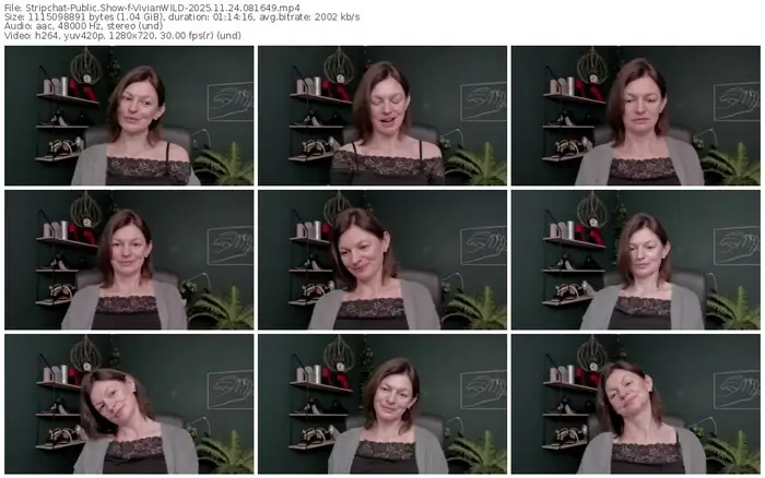 stripchat-vivianwild-11-24-2025-08-16-49