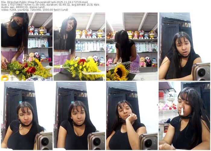 stripchat-vivienandclark-11-24-2025-17-27-26