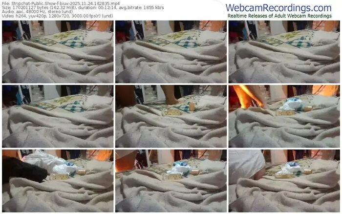 stripchat-biuv-11-24-2025-16-28-35
