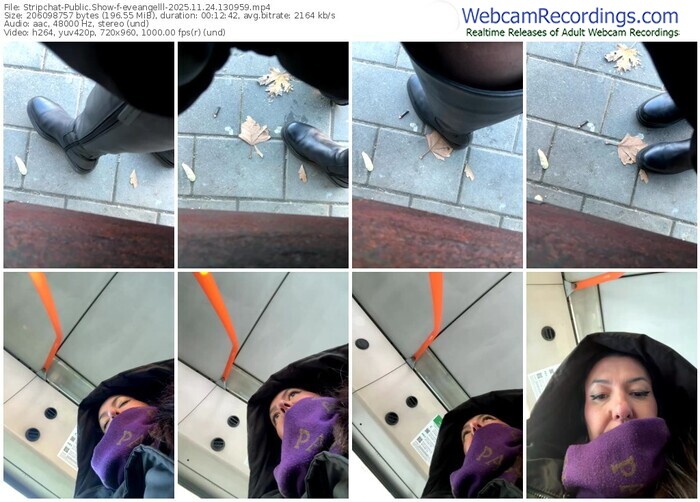 stripchat-eveangelll-11-24-2025-13-09-59