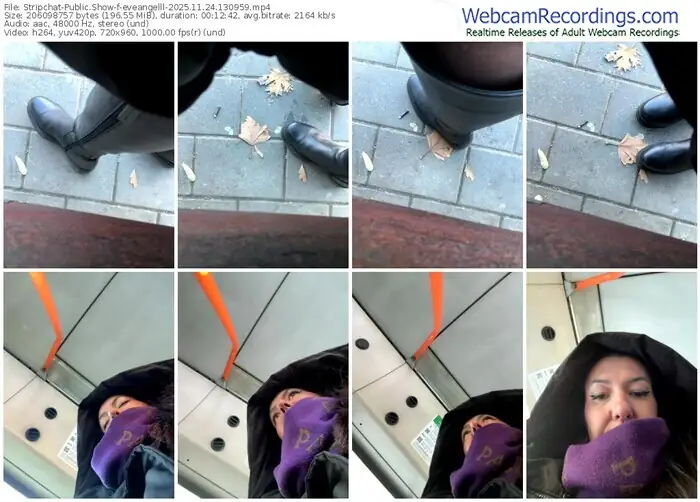 stripchat-eveangelll-11-24-2025-13-09-59