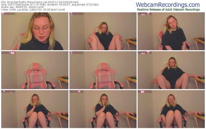 stripchat-lame_cat-11-24-2025-04-31-04