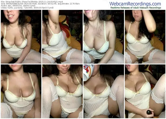 stripchat-w3tkittty-11-24-2025-05-45-21