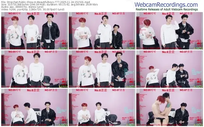 stripchat-beautifulboys-777-11-24-2025-15-15-01