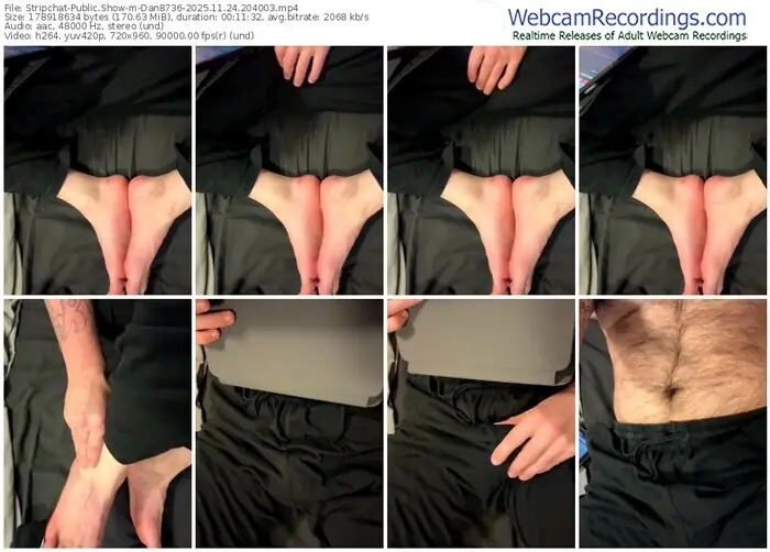 stripchat-dan8736-11-24-2025-20-40-03