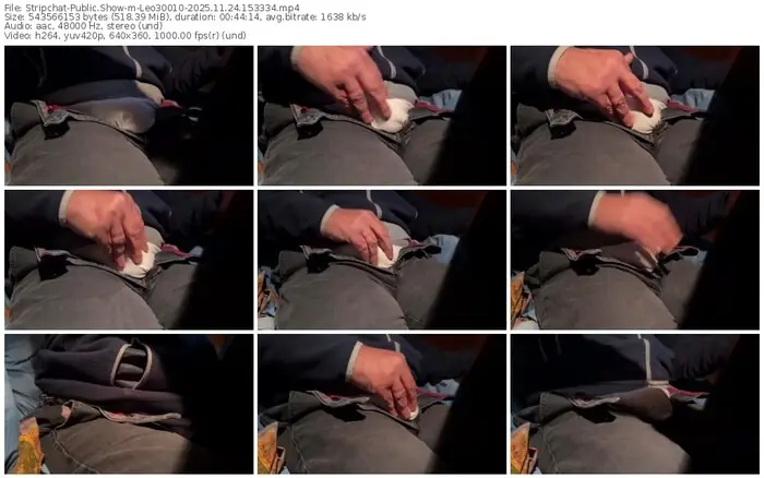 stripchat-leo30010-11-24-2025-15-33-34