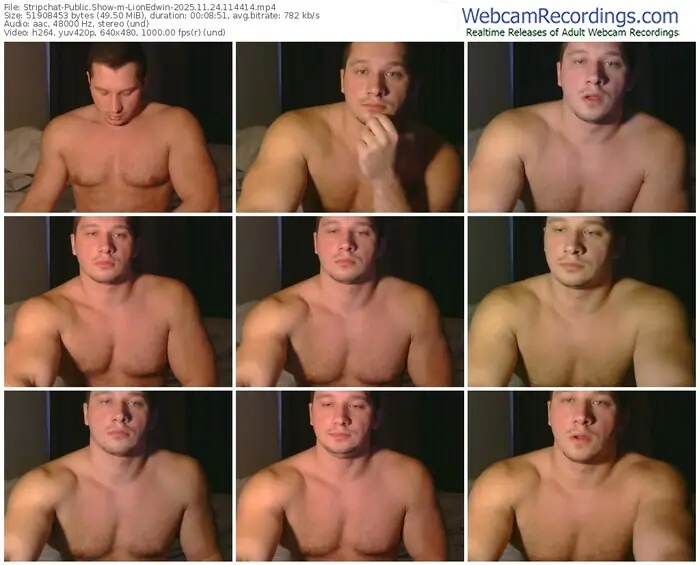 stripchat-lionedwin-11-24-2025-11-44-14