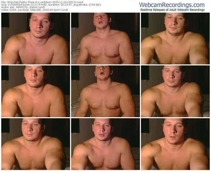 stripchat-lionedwin-11-24-2025-16-51-31