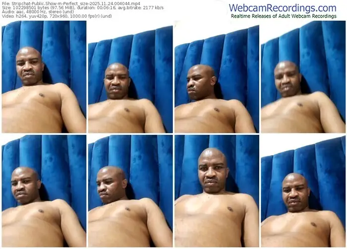 stripchat-perfect_size-11-24-2025-00-40-44