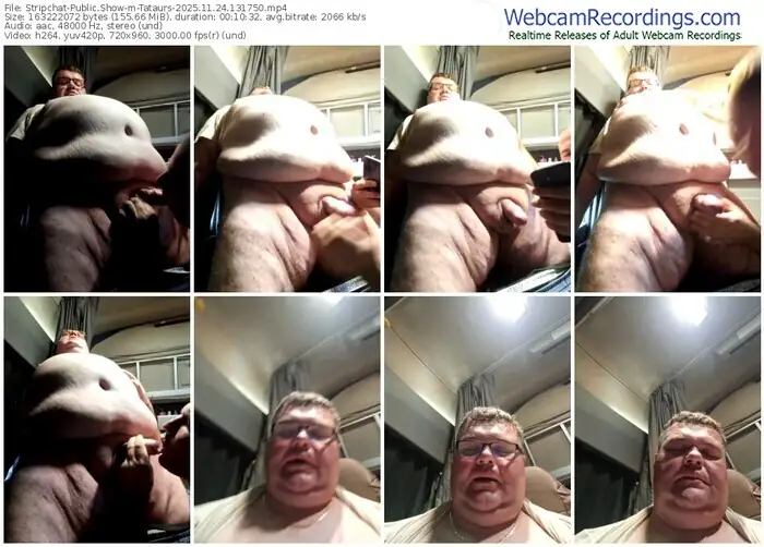 stripchat-tataurs-11-24-2025-13-17-50