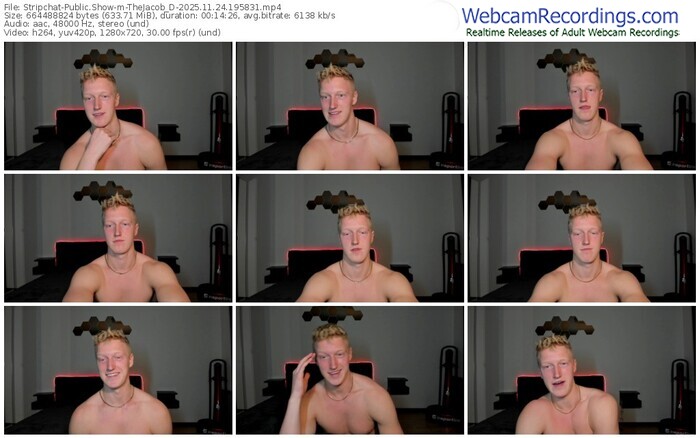 stripchat-thejacob_d-11-24-2025-19-58-31