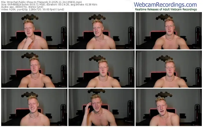 stripchat-thejacob_d-11-24-2025-19-58-31