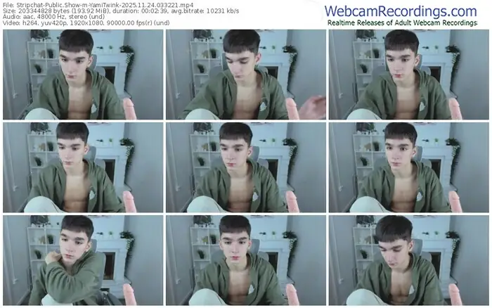 stripchat-yamitwink-11-24-2025-03-32-21