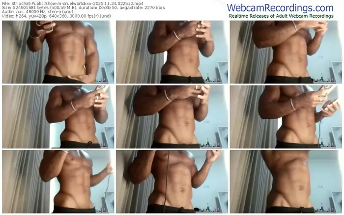 stripchat-cruelworldxxx-11-24-2025-02-25-12