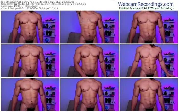 stripchat-exquisite_gabe-11-24-2025-22-36-09