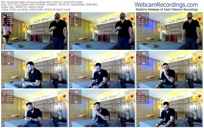 stripchat-petterwilly1-11-24-2025-15-20-14