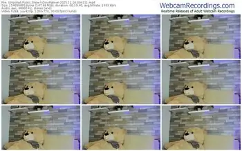 stripchat-dixypalmer-11-24-2025-00-41-11