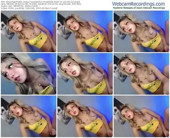 stripchat-wonderful_tonight28-11-24-2025-05-12-15