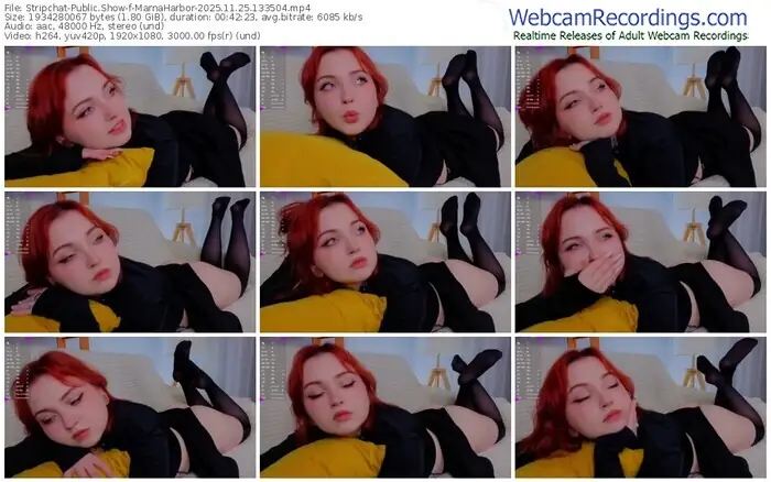 stripchat-marnaharbor-11-25-2025-13-35-04