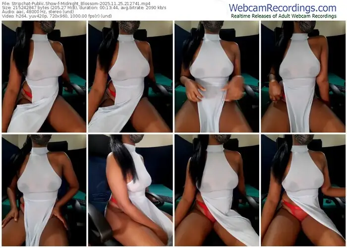 stripchat-midnight_blossom-11-25-2025-21-27-41