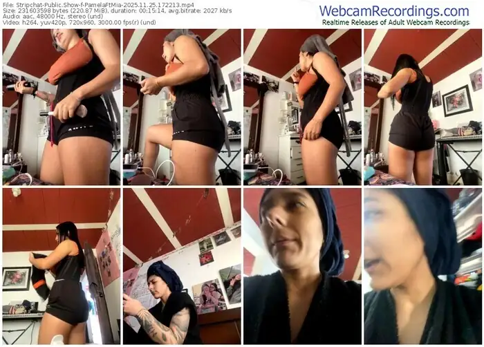 stripchat-pamelaftmia-11-25-2025-17-22-13