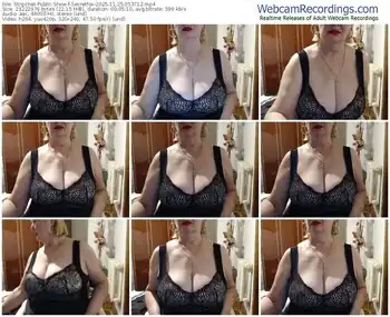 stripchat-secretfox-11-25-2025-05-37-12