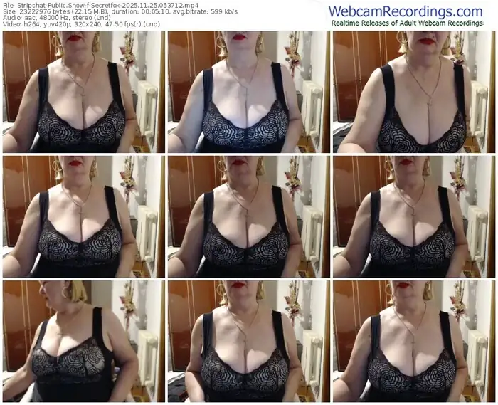 stripchat-secretfox-11-25-2025-05-37-12