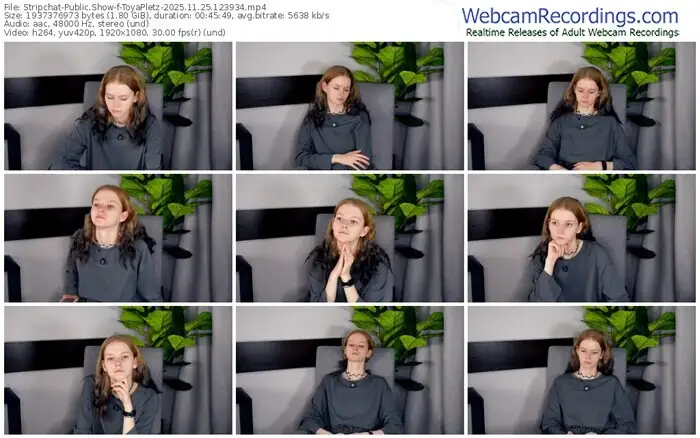 stripchat-toyapletz-11-25-2025-12-39-34
