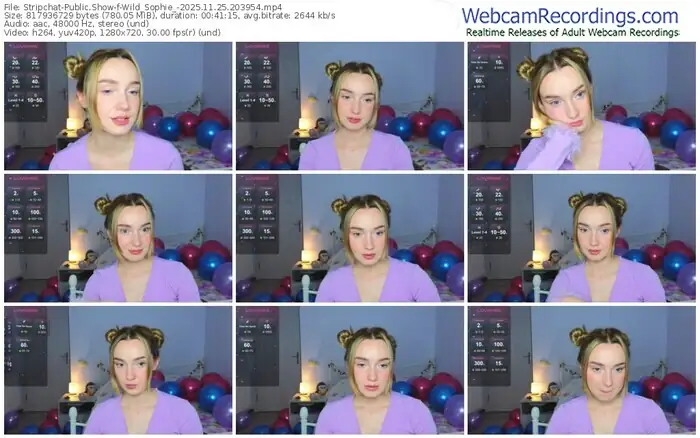 stripchat-wild_sophie_-11-25-2025-20-39-54