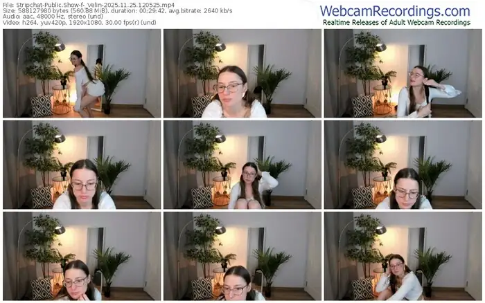 stripchat-_velin-11-25-2025-12-05-25