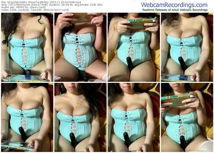stripchat-w3tkittty-11-25-2025-02-24-38