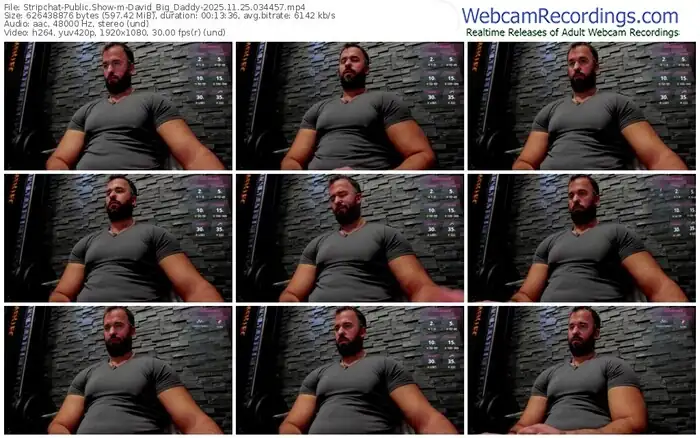 stripchat-david_big_daddy-11-25-2025-03-44-57