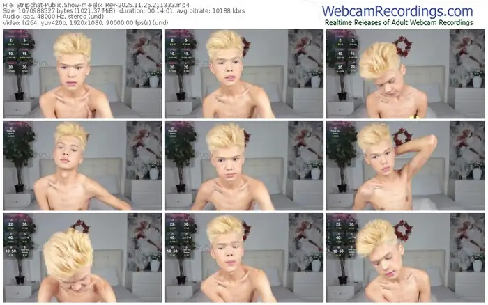 stripchat-felix_rey-11-25-2025-21-13-33