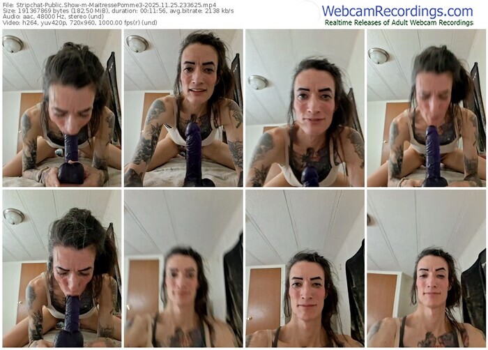 stripchat-maitressepomme3-11-25-2025-23-36-25