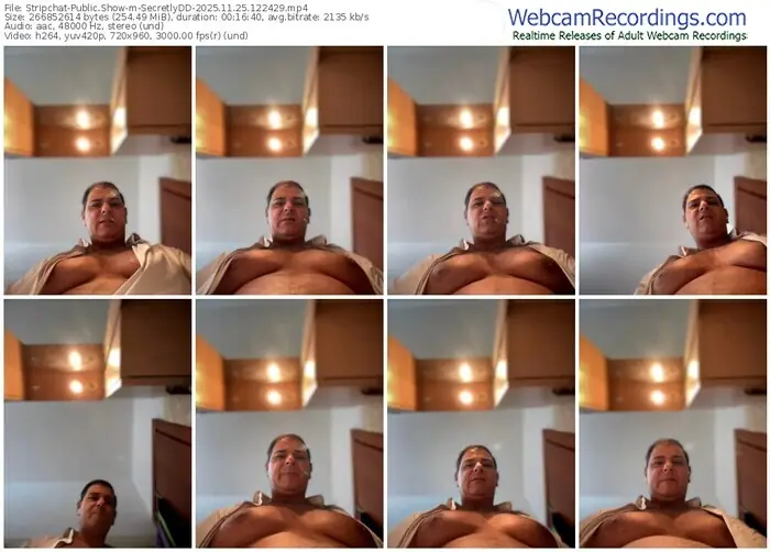 stripchat-secretlydd-11-25-2025-12-24-29