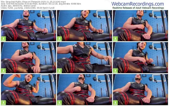 stripchat-theian26-11-25-2025-21-32-42