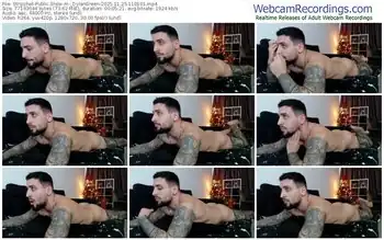 stripchat-_dylangreen-11-25-2025-11-01-01