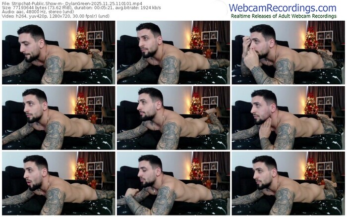 stripchat-_dylangreen-11-25-2025-11-01-01