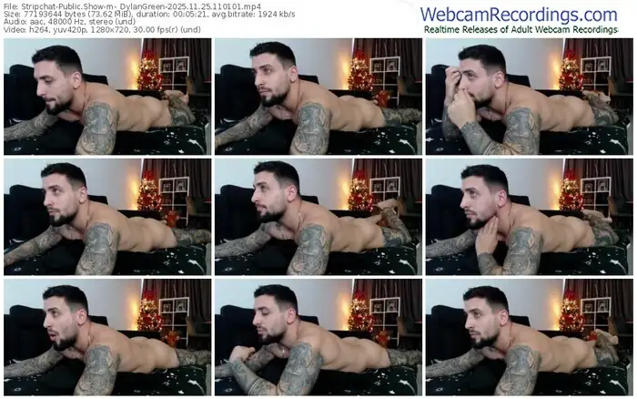 stripchat-_dylangreen-11-25-2025-11-01-01