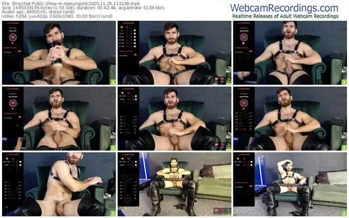 stripchat-damongold-11-25-2025-11-32-39