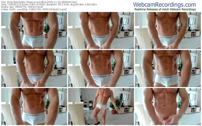 stripchat-woolfiie-11-25-2025-08-25-00
