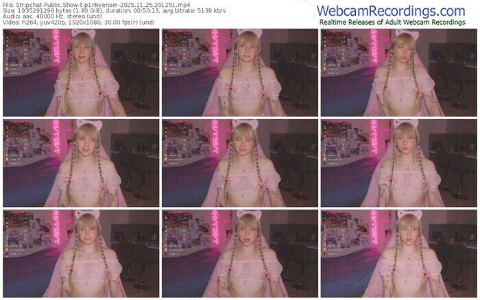 stripchat-p1nkvenom-11-25-2025-20-12-51