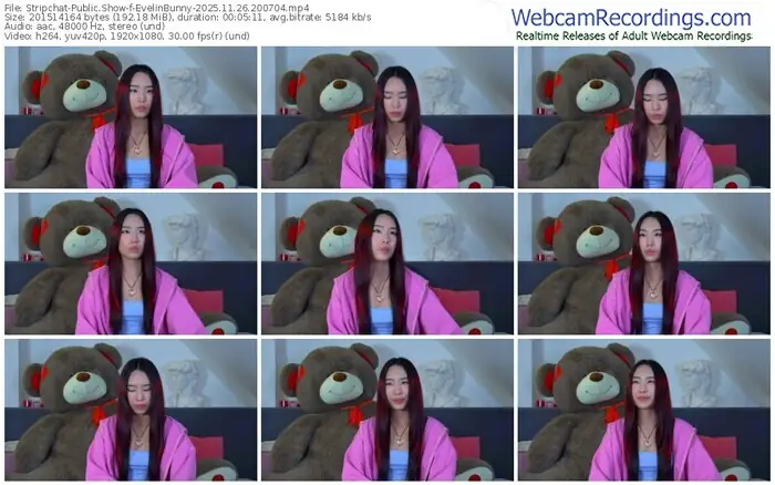 stripchat-evelinbunny-11-26-2025-20-07-04